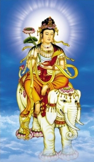 Samantabhadra with Elephant & Parasol