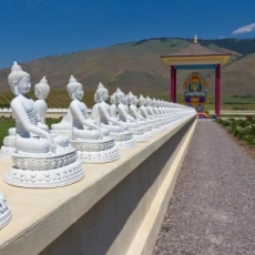 Buddhas – How many we know?!