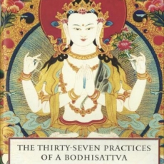 37 Bodhisattva Practices
