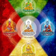 5 Wisdom Buddhas