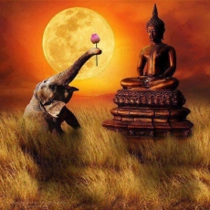 Buddhism Practice