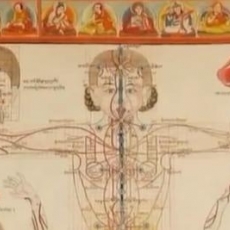 Basics of Tibetan Medicine
