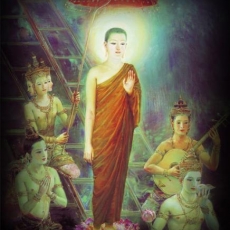 Buddha in Former Lives