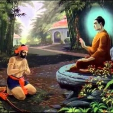 Buddha’s Teachings | Overview