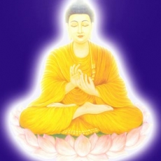 Buddhahood and Buddha Bodies