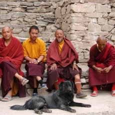 Buddhist Monks