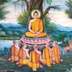 Dharmas with anxiety and without: the Path