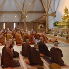 Monasticism in Buddhism