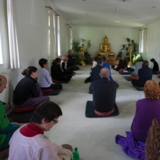 Buddhist Saṅgha | Community