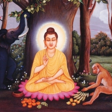 Buddha Śākyamuni