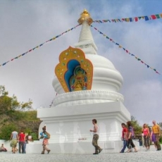 What is Stupa