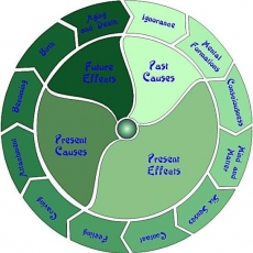 The Law of Dependent Origination