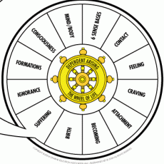 Law of Dependent Origination