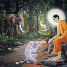 Mettā - Practice of Universal Love