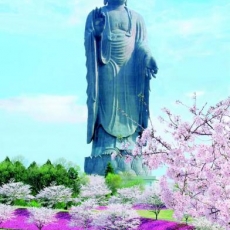 Amida Buddha statue, Japan