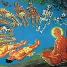 Maraṇasati | Mindfulness of Death