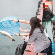 Ten Bases of Meritorious Action