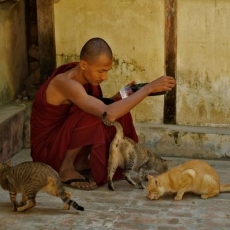 8 obstacles to practice Buddhism