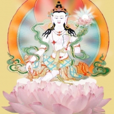 Sarvanivāraṇaviṣkambhin