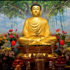 Buddha: From Birth to Enlightenment